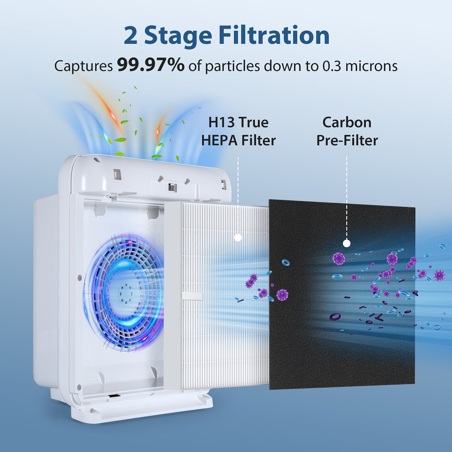 AP-1512HH Coway Filter Replacement, 2 True HEPA Filter & 8 Carbon Pre-Filters