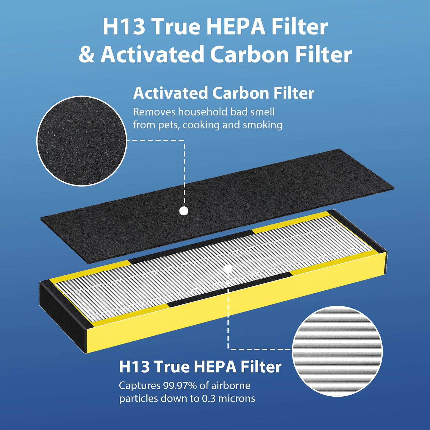 FLT4825 Filter B Replacement for Guardian Air Purifier (2 H13 Hepa Filters + 8 Carbon Filters)